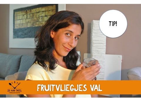 Tip: De allerbeste fruitvliegjesval