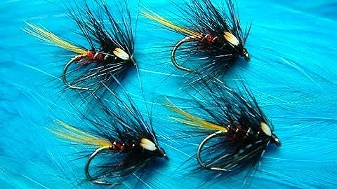 Tying the Watson