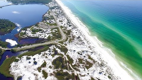 Virtual Ocean Dialogues: World economic forum hosts online session on water protection