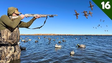 DUCK HUNTING Public Land | MIXED BAG Over A HUGE SPREAD