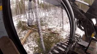 Logset 8H An Harvennuksella 2