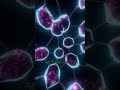 Claude 3.5: Lo que todos ignoran