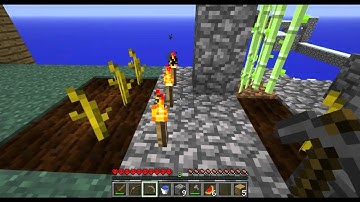 SkyBlock 1.1 Hardcore Tour