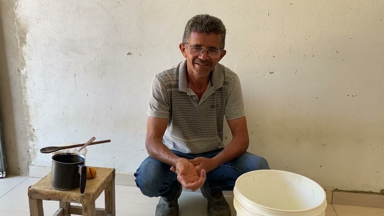 MELHOR ALIMENTAÇAO PARA ABELHAS APIS MELIFERAS