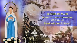 Rosaire du mardi  10 mai, Rosaire pour la paix