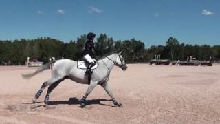 Aki Joy Maruyama Jespere American Eventing Championships September 2016