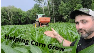 Trying To Maximize Corn Yields- Top Dressing Corn 2022