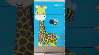 Random Facts To Surprise You shorts youtubeshorts