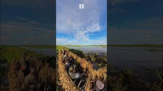 Hunting season is here!!