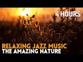 Soothing Jazz For Deep Relaxation: Perfect For Sleep & Meditation | Harmony Haven---