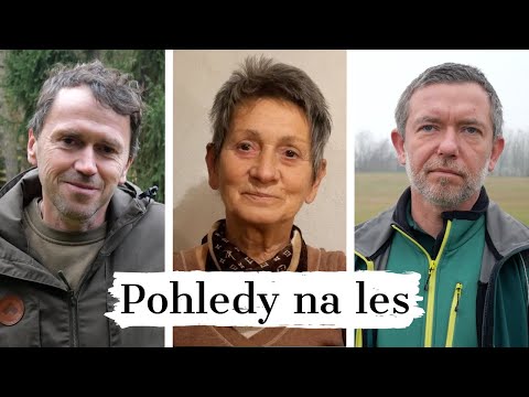 Video: Les Jako Předmět Použití