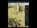 UE5 PCG Tutorial for Beginners – Step-by-Step Guide to Procedural Generation" Episode:2 #ue5 #pcg