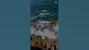 الشيخ محمد الفقيه تلاوة خاشعة جدا لي سورة الإنفطار مكتوبة #المصحف #راحة_نفسية