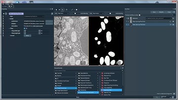 Segmentation of FIBSEM Mitochondria using deep learning in Amira or Avizo Software