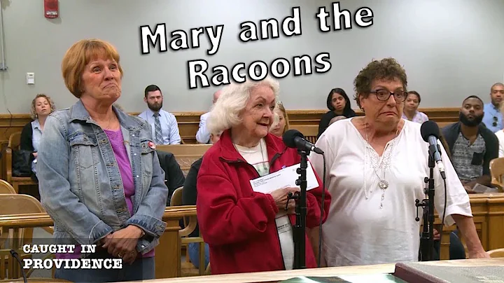 Mary and the Racoons
