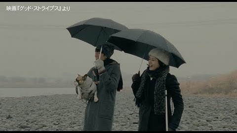 大橋トリオ / 「めくるめく僕らの出会い」 （映画『グッド・ストライプス』主題歌）