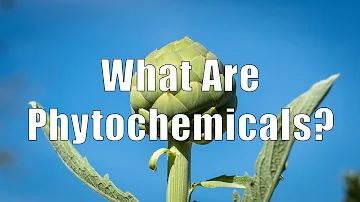Are all phytochemicals good for your health?