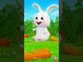 🐇Cutie Rabbit Rhyme Poem 🐇#MuSuKidsTV#KidsCartoon#BabyCartoon#NurseryRhymes#KidsVideo #Shorts