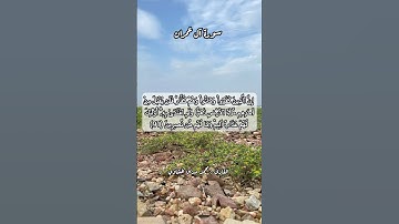 سورة آل عمران ٩١ #قرآن #قرآن_كريم #قران #قران_كريم #قرأن #quran