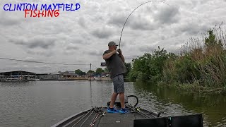 LAKE CONROE BASS FISHING