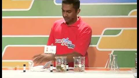 Ecology - Practical Investigations