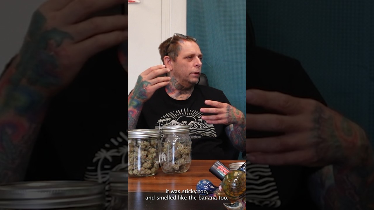 @OrgnKid рассказывает историю создания сорта Banana OG 