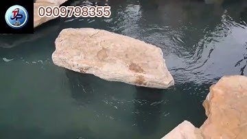 Thi công hồ cá koi chất liệu đá Cổ Thạch Vàng tại bình dương