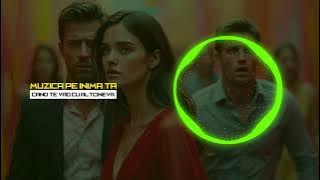 💔 Cand te vad cu altcineva – Audio Visualizer