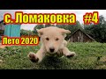 Лето в Ломаковке. Стародубский район, Брянская область. 2020г.