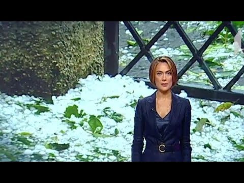 სეტყვამ გორის მუნიციპალიტეტის სოფლები დააზარალა