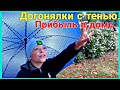 Догонялки с тенью.А у нас прибыль в доме.