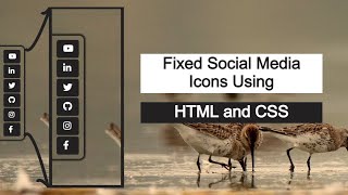 Fixed Social Media Icons Using HTML & CSS | @ZonetoCode