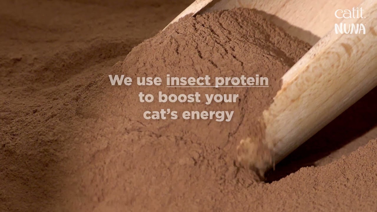Catit Nuna Insectenproteïne Kattensnacks – 60 G Duurzame En Smakelijke Traktatie Met Hermetia Illucens Larven, Licht Verteerbaar En Recyclebaar