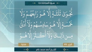 الشيخ احمد محمد عامر سورة المجادلة
