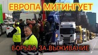 Борьба за выживание, кто как может, тот так и борется. Митинги и демонстрации в Европе.