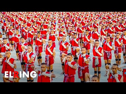 El impresionante récord de Muay Thai | El Ring