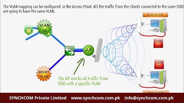 SYNCHCOM LigoDLB VLAN Tagging (VLAN Mapping)