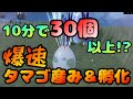 【厳選必見】タマゴを最速でゲットして爆速で孵化させる方法【ポケモンスカーレット・バイオレット】