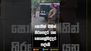 ෂොපින් ගිහින් හිරගෙදර යන කෙහෙල්බද්දර පද්මේ