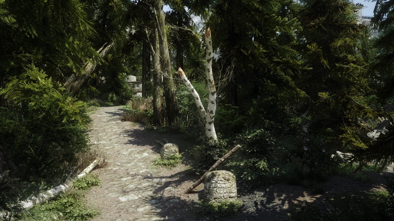 GTX 1070 - Skyrim Rudy ENB