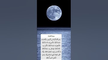 سورة العاديات  عبد الرحمن السديس #تيك_توك #اكسبلور #duet #لايك #دويتو  #peace #راحة_نفسية #قرآن