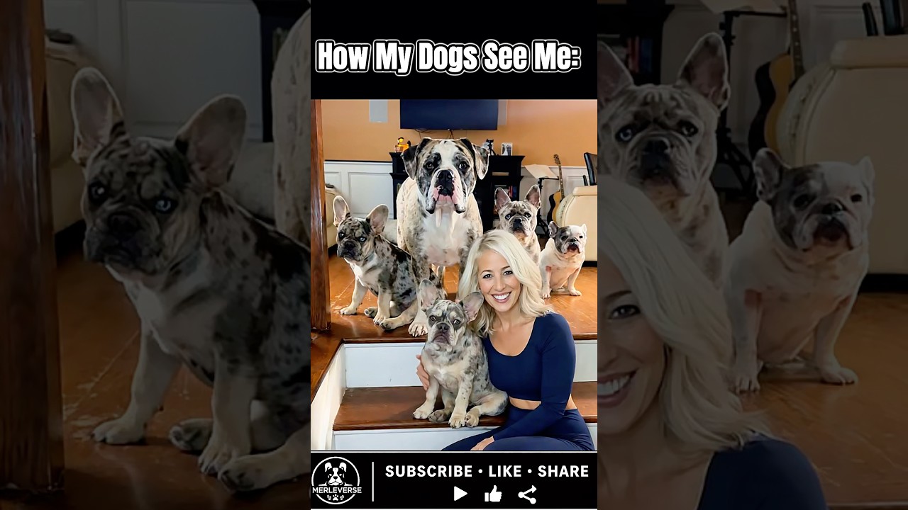 The Many Hats of a Dog Mom 🐾