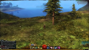 Guild Wars 2: Gendarran Fields - Hollow Buffs HD Point of interest