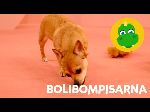 Bolibompa Mini: Bolibompisarna – Avsnitt 8