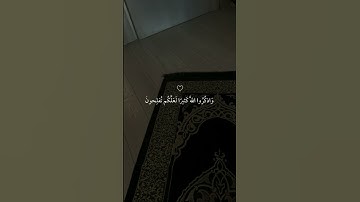تلاوة هادئة تأخذك إلى عالم من الهدوء والسكينة بصوت الشيخ ماهر المعيقلي ♡ #ماهر_المعيقلي​ #قرآن 