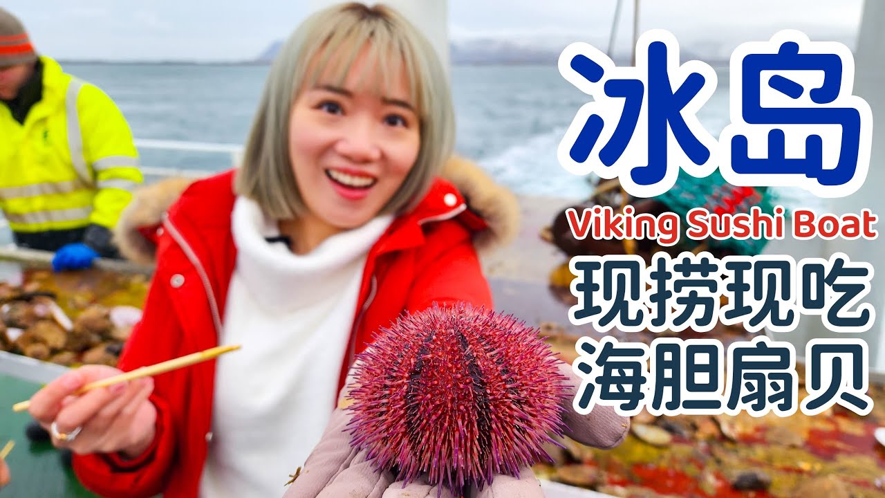 冰岛出海现捞现吃海胆扇贝!! 还有雪山看!! 可是....一群大妈突然..... #冰岛 #Iceland #VikingSushi