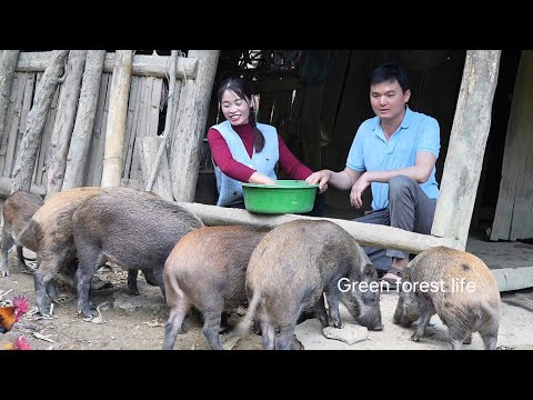 Suddenly, the old woman came and asked Nam about his parents, which made him very worried.