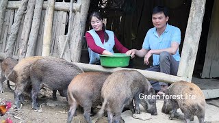 Download Lagu Mai en Robert gingen de berg op en maakten zich klaar om de varkens terug naar huis te brengen. MP3