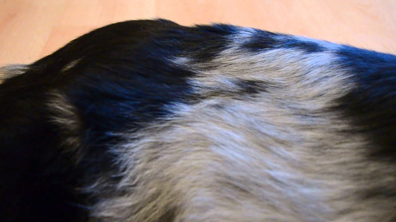 B-Wurf - die ersten Baby - Tritte