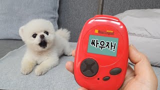 I Tried Using A Puppy Translator